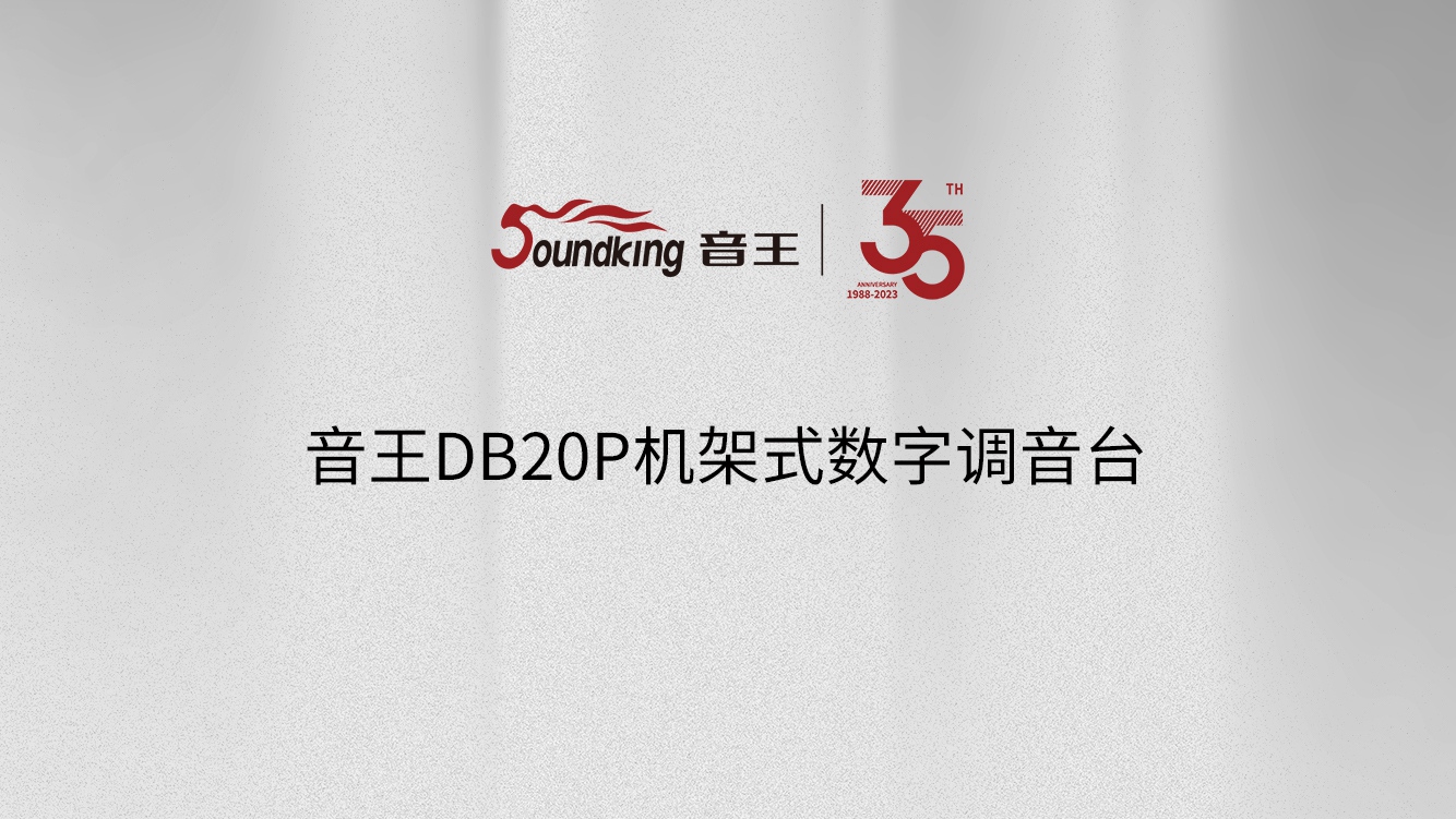南宫NG·28DB20P機架式數字調音台